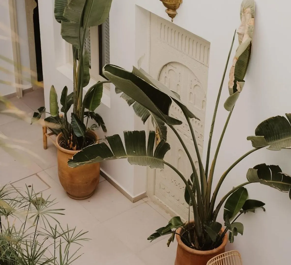 Riad Dar Blanche Marrakesh