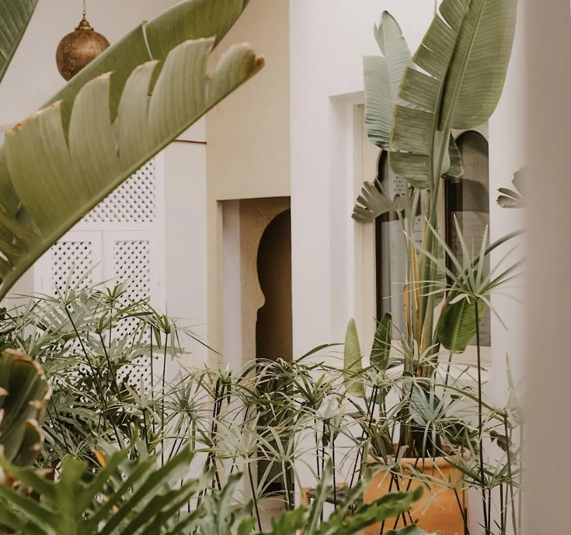 Riad Dar Blanche Marrakesh