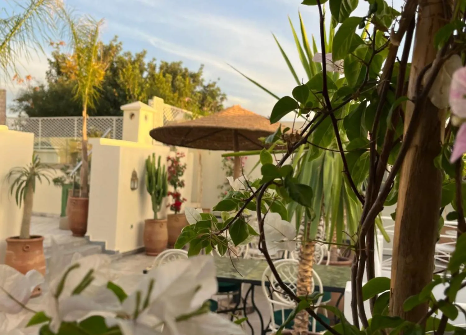 Riad Dar Blanche Marrakesch