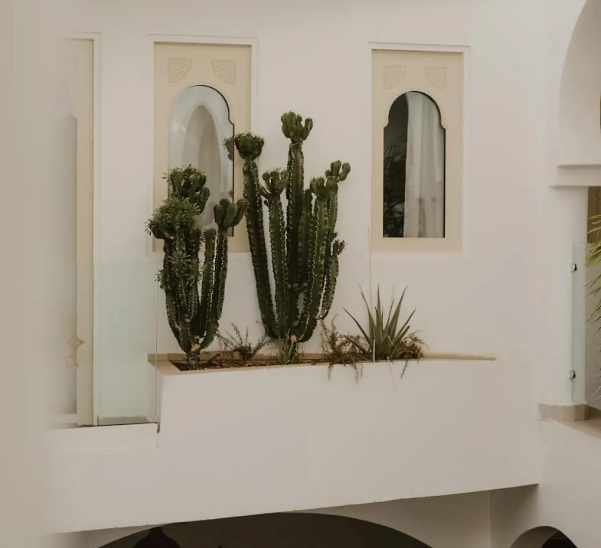 Riad Dar Blanche Marrakesch Marokko